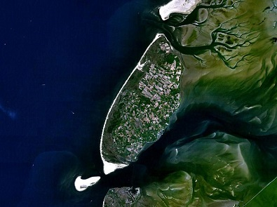 Illustration for article titled Dead Whales Won't Stop Washing Up on This Dutch Island